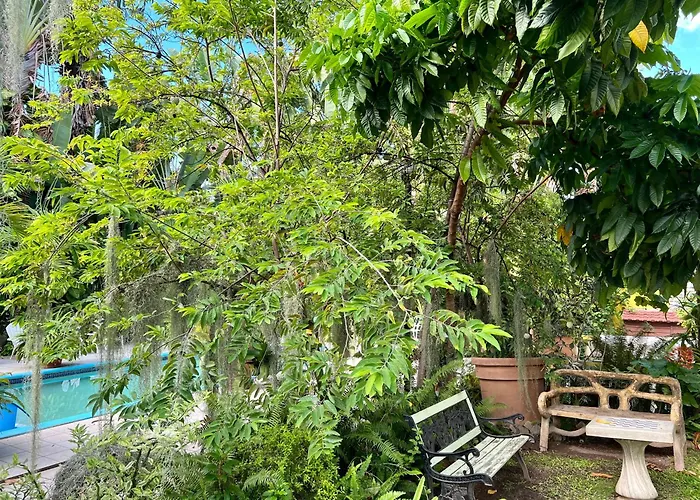 Orchid Cottage